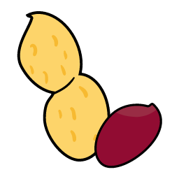 Peanut Icon, peanut,nut