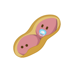 Cartoon Peanut Icon, peanut,nut,cartoon