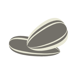 Melon Seed Icon, melon seed,seed,snack