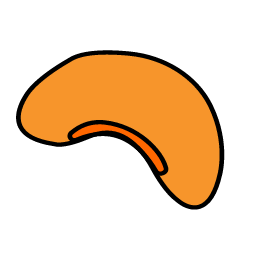 Cashew Nut Icon, cashew nut,nut