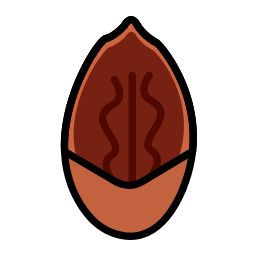 Pecan Icon, pecan,nut