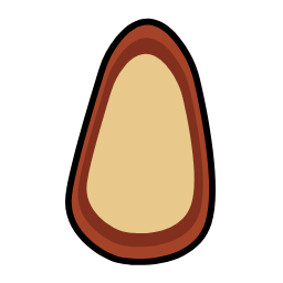 Pine Nut Icon, pine nut,nut