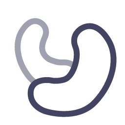 Cashew Icon, cashew,nut