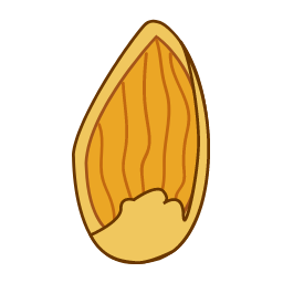 Almond Icon, almond,nut