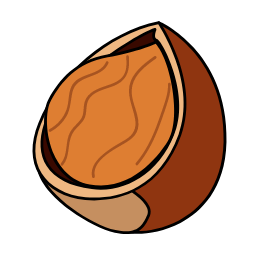 Hazelnut Icon, hazelnut,nut
