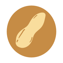 Peanut Icon, peanut,nut,snack