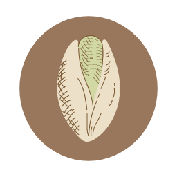 Pistachio Icon, pistachio,nut,snack