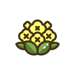 Cauliflower Icon, cauliflower,vegetable