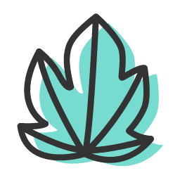 Maple Leaf Icon, maple,leaf
