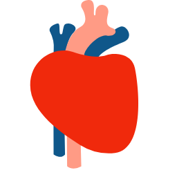 Heart Icon (Simplified) Icon, heart,circulatory