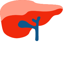 Liver Icon (Simplified) Icon, liver,digestive