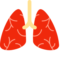 Lungs Icon (Simplified) Icon, lungs,respiratory