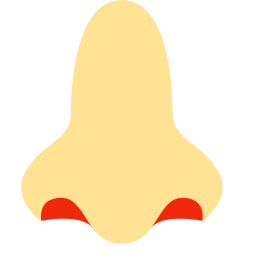 Nose Icon, nose,respiratory