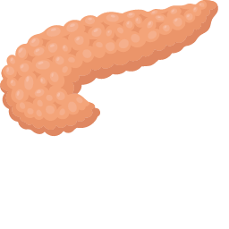 Pancreas Icon, pancreas,digestive