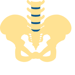 Pelvis Icon, pelvis,skeletal