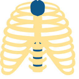 Ribs Icon, ribs,skeletal