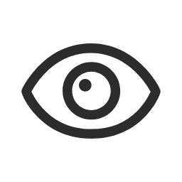 Eye Icon, eye,vision,visibility