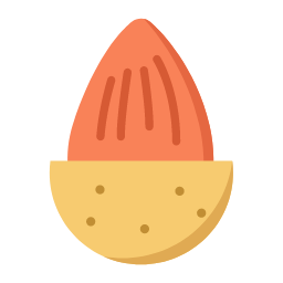Pine Nut Icon, pine nut,nut