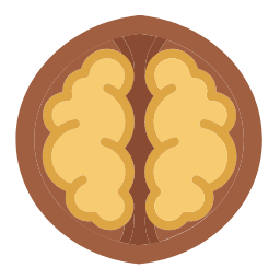 Walnut Icon, walnut,nut