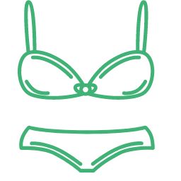 Lingerie Icon, lingerie,undergarment,intimate wear
