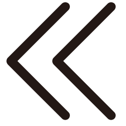 Left Arrow 2 Icon, arrow,left,double
