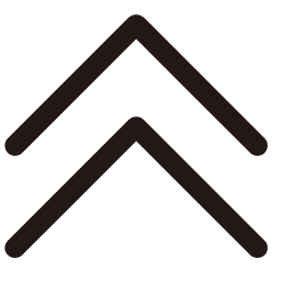 Up Arrow 2 Icon, arrow,up,double