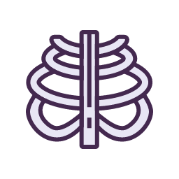 Ribs Icon, ribs,thoracic,bone