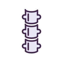 Spine Icon, spine,orthopedics,bone