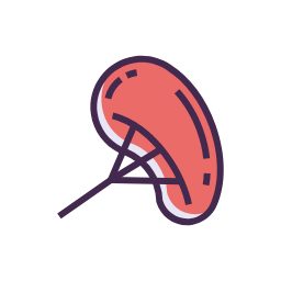 Spleen Icon, spleen,hematology,organ