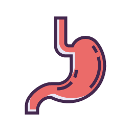 Stomach Icon, stomach,gastroenterology,digestive