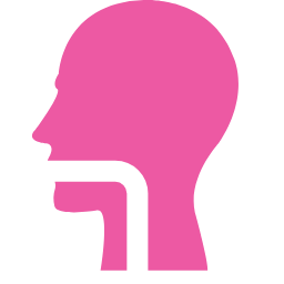 Respiratory Tract Icon, respiratory,tract