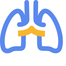 Respiratory Medicine Department Icon, respiratory,lungs,medical