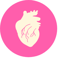 Heart Icon (Detailed) Icon, heart,cardiovascular,anatomy