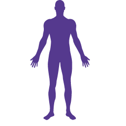 Male Figure Icon, male,anatomy,human body