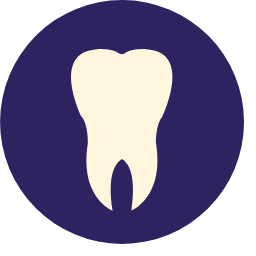 Tooth Icon, tooth,dentistry,anatomy