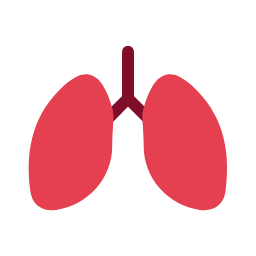 Lung Icon, lung,respiratory