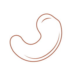Cashew Nut Icon, cashew,nut