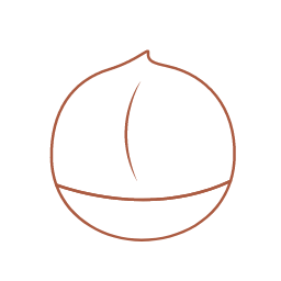 Macadamia Nut Icon, macadamia,nut