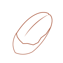 Pecan Nut Icon, pecan,nut