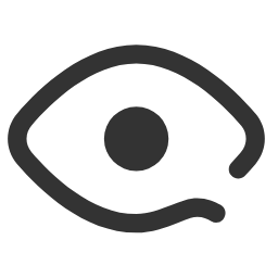 Public Icon, public,eye