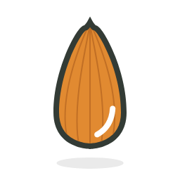 Almond Nut Icon, almond,nut
