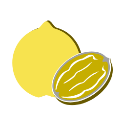 Grapefruit Icon, grapefruit,fruit