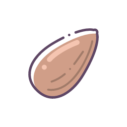 Almond Kernel Icon, almond,nut
