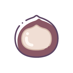 Macadamia Nut Icon, macadamia,nut