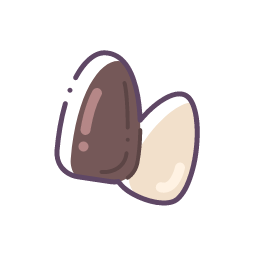 Open Pine Nut Icon, pine nut,nut