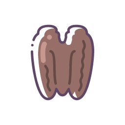 Pecan Kernel Icon, pecan,nut