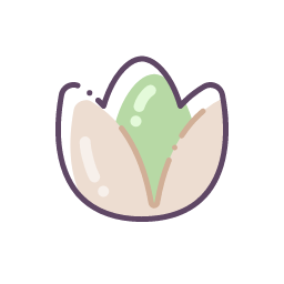 Pistachio Icon, pistachio,nut