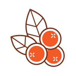 Cranberry Icon, cranberry,dried fruit
