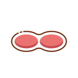 Peanut Icon, peanut,nut