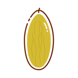 Raisin Icon, raisin,dried fruit